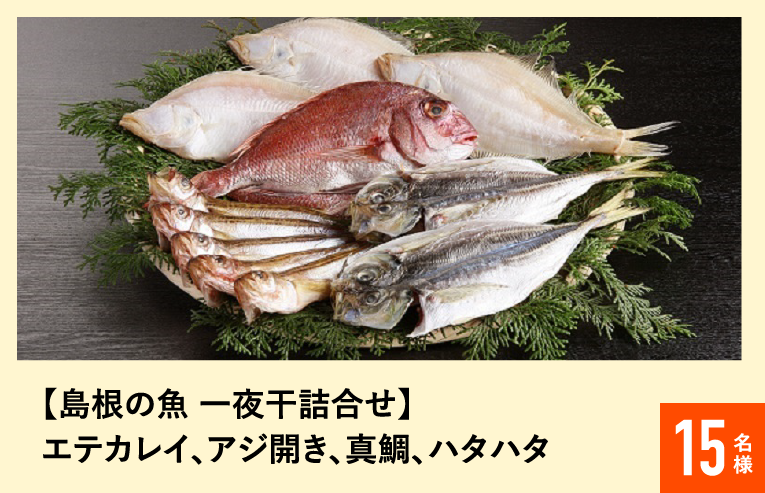 【島根の魚 一夜干詰合せ】エテカレイ、アジ開き、真鯛、ハタハタ 15名様