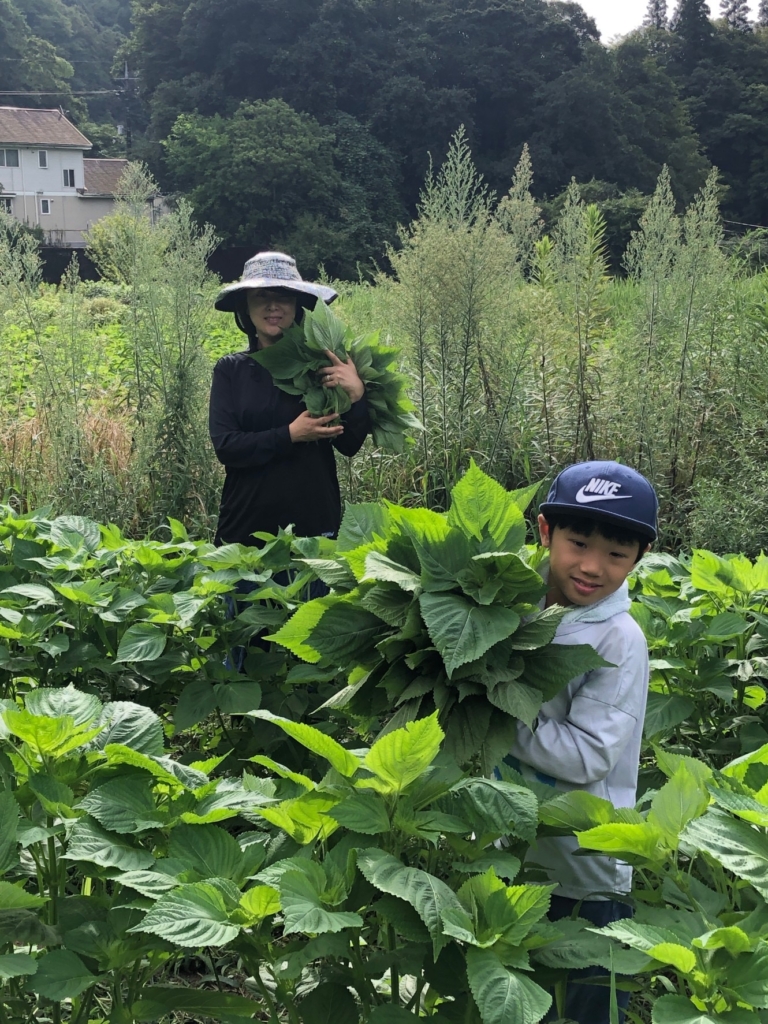 柴原伽ん七さん